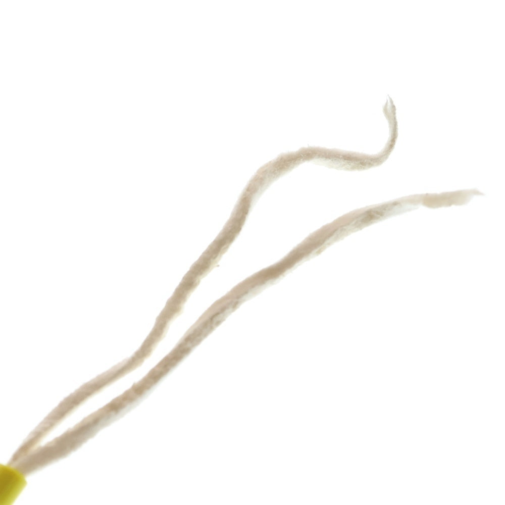 goro's(ゴローズ) [新品] 革紐(白)