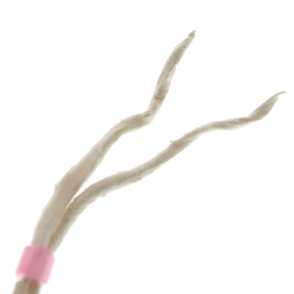 goro's(ゴローズ) [新品] 革紐(白)