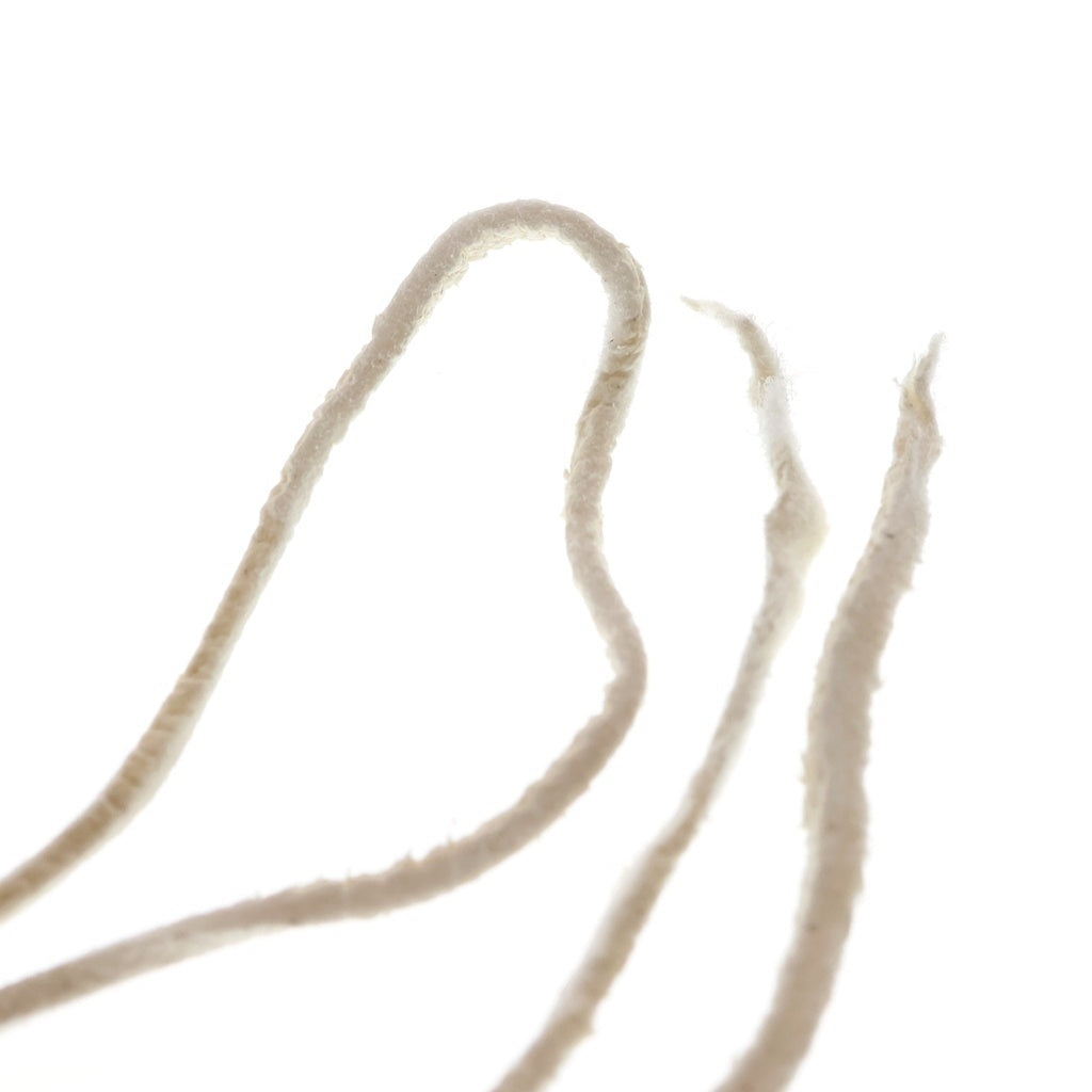 goro's(ゴローズ) [新品] 革紐(白)