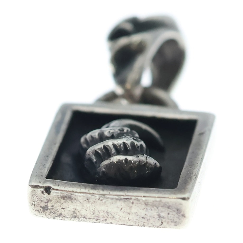 CHROME HEARTS(クロムハーツ) FRAMED CROW フレームドクロウ チャーム ペンダントトップ シルバー BCA272