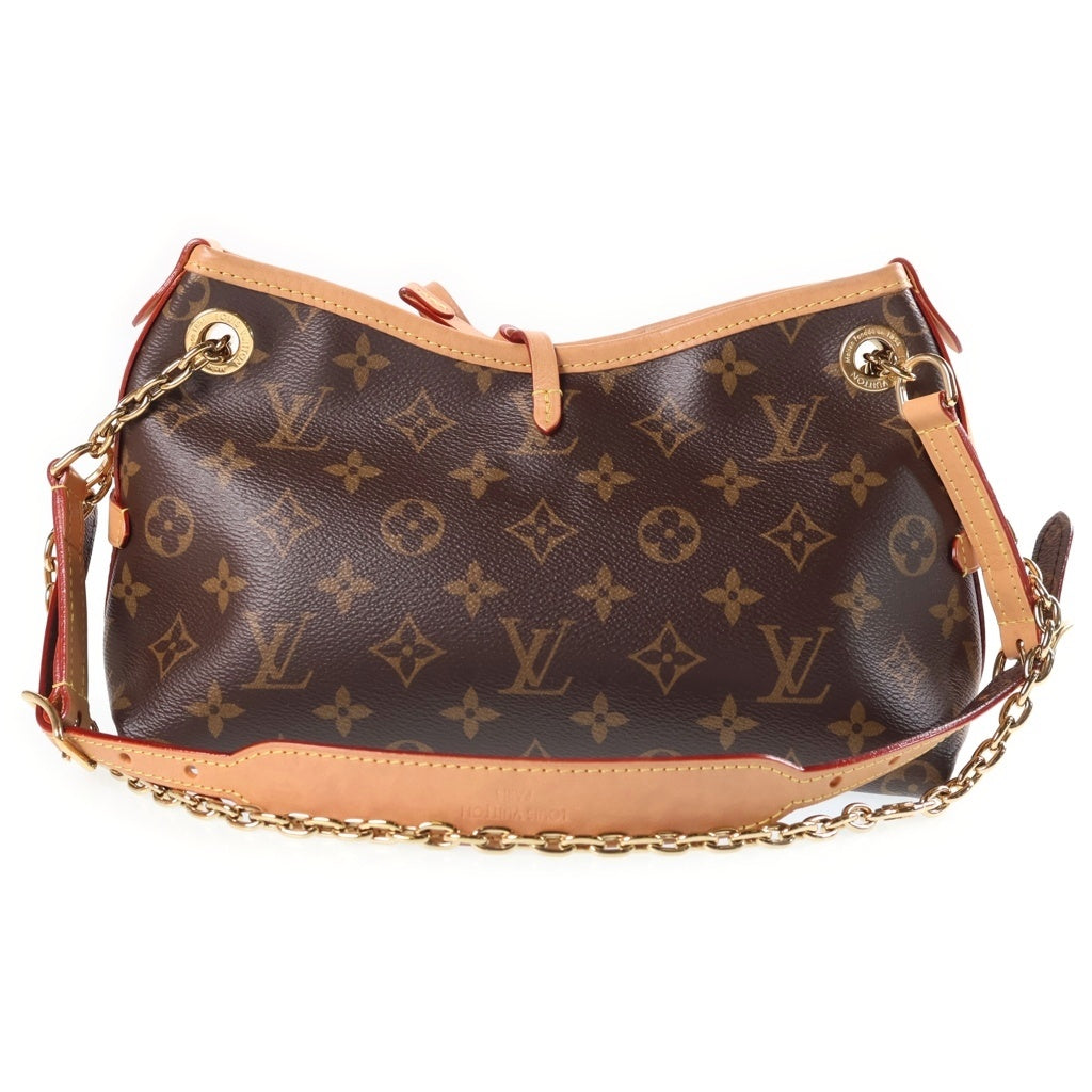 LOUIS VUITTON(ルイヴィトン) モノグラム キャリーオールBB チェーンショルダーバッグ ミニバッグ ブラウン レザー×PVC M13014 ゴールド金具 レディース