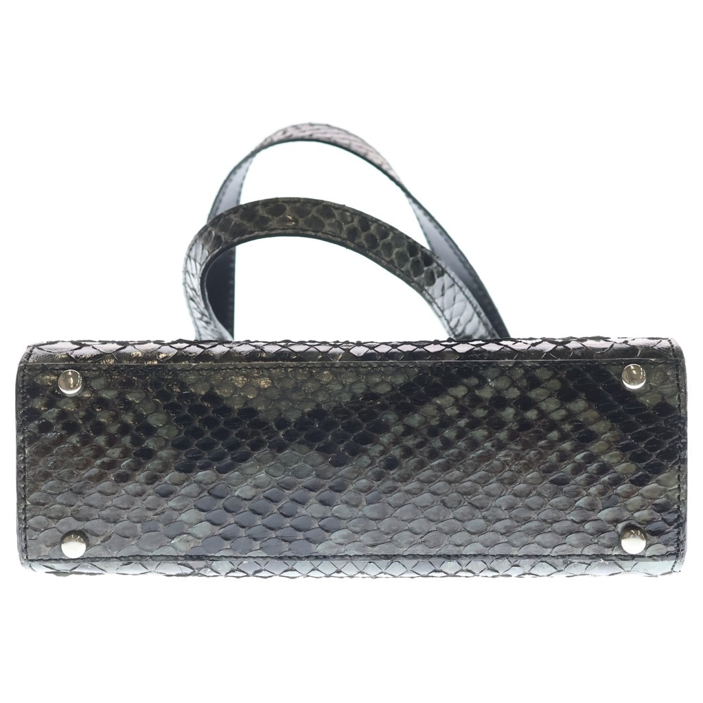 CELINE(セリーヌ) パイソン ハンドバッグ ミニバッグ グレー シルバー金具 レディース