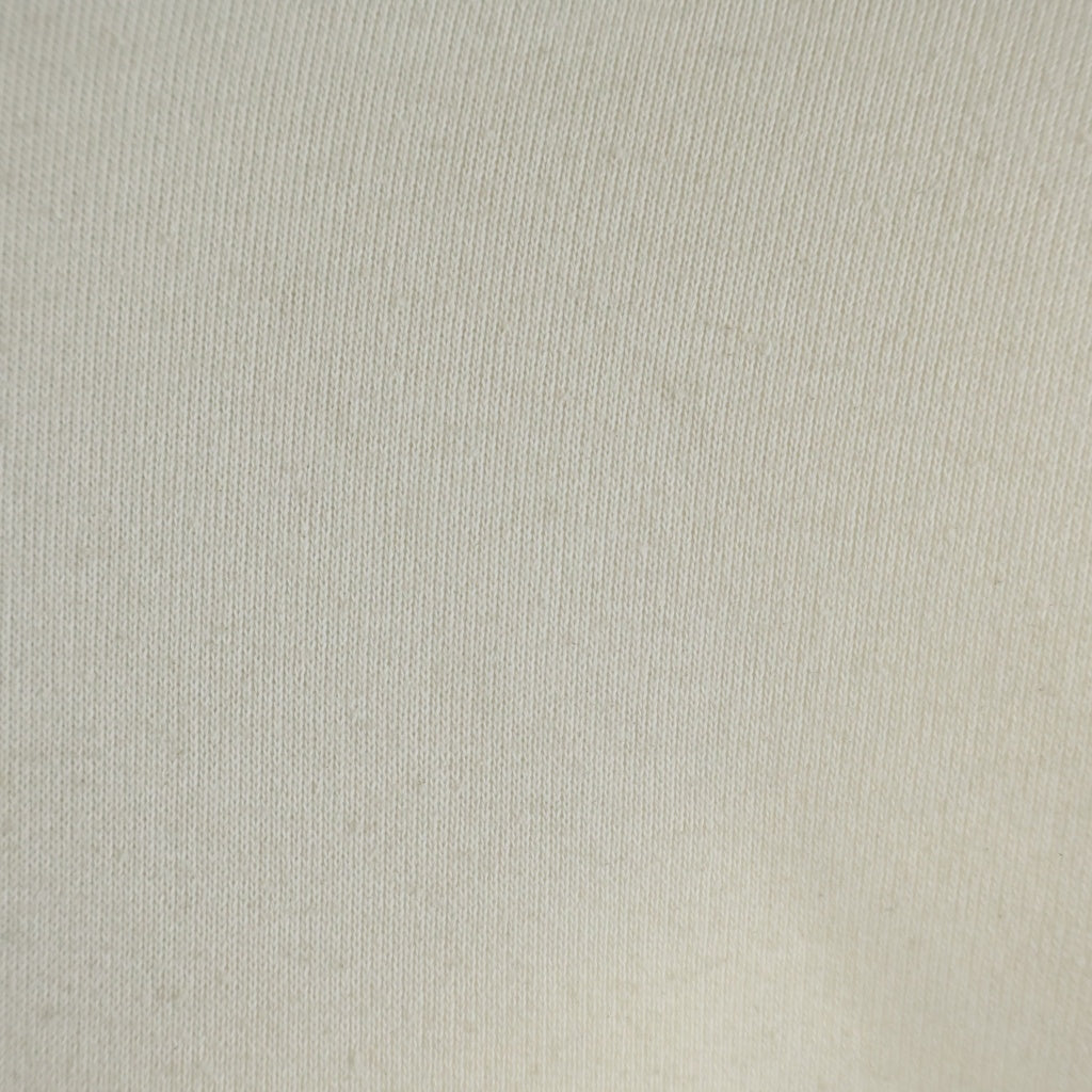 Acne Studios(アクネ ストゥディオズ) 24SS Logo Hoodie Sweater ダメージ加工 ロゴフーディ スウェットパーカー ホワイト
