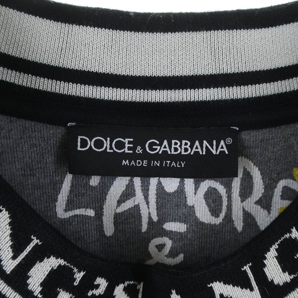 DOLCE & GABBANA(ドルチェアンドガッバーナ) グラフィック プリント スウェット トレーナー グレー G9MG6T