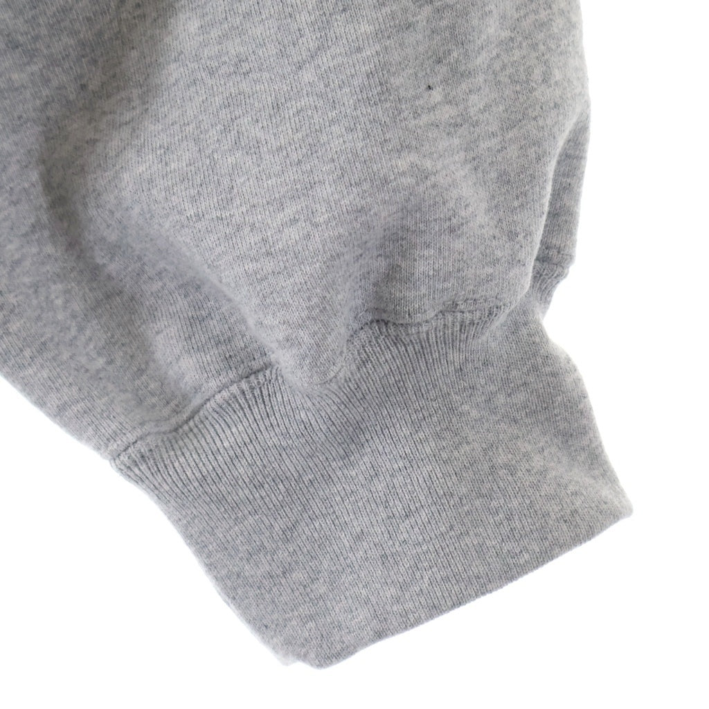 SUPREME(シュプリーム) 25AW Satin Applique Hooded Sweat Shirt サテン アップリケ スウェットプルオーバーパーカー グレー