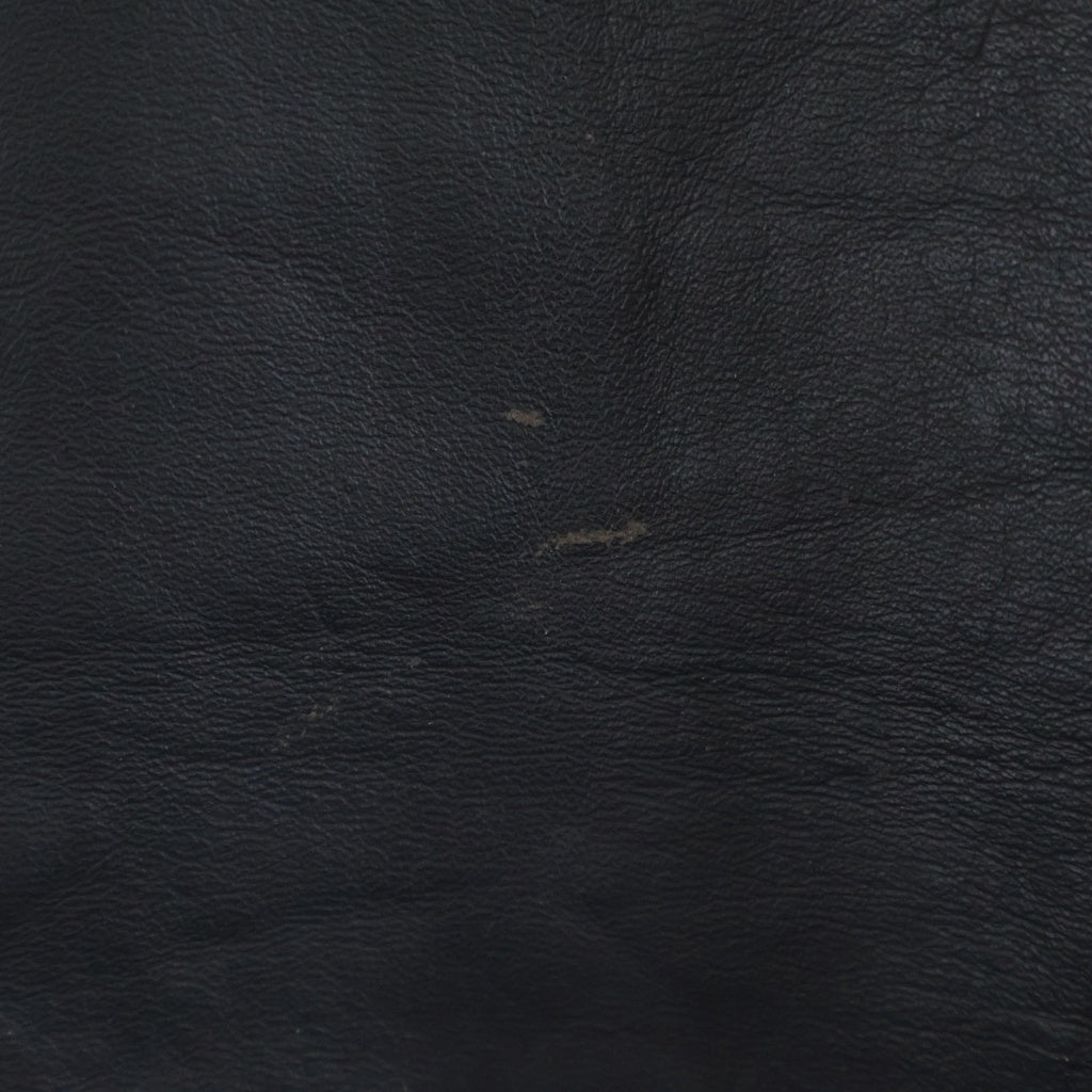 Levi's(リーバイス) 00s Horse Hide Black Leather Pants 馬革 ホースハイド レザーパンツ ブラック 505-4958