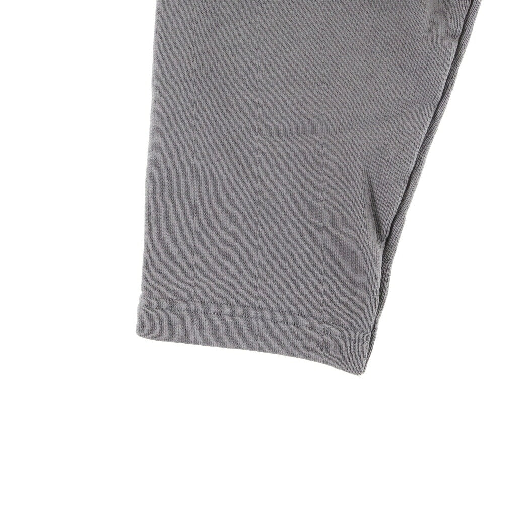 Acne Studios(アクネ ストゥディオズ) プリント ショート丈 スウェット トレーナー グレー レディース FN-WN-SWEA000184