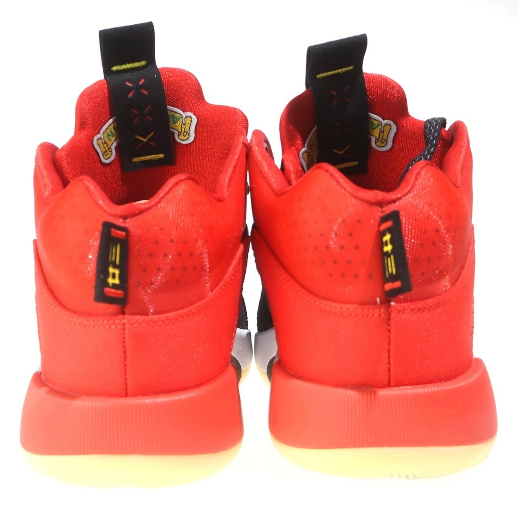 NIKE(ナイキ) AIR JORDAN XXXV CHINESE NEW YEAR エアジョーダン35 チャイニーズ ニュー イヤー ハイカットスニーカー レッド US8.5/26.5cm DD2234-001