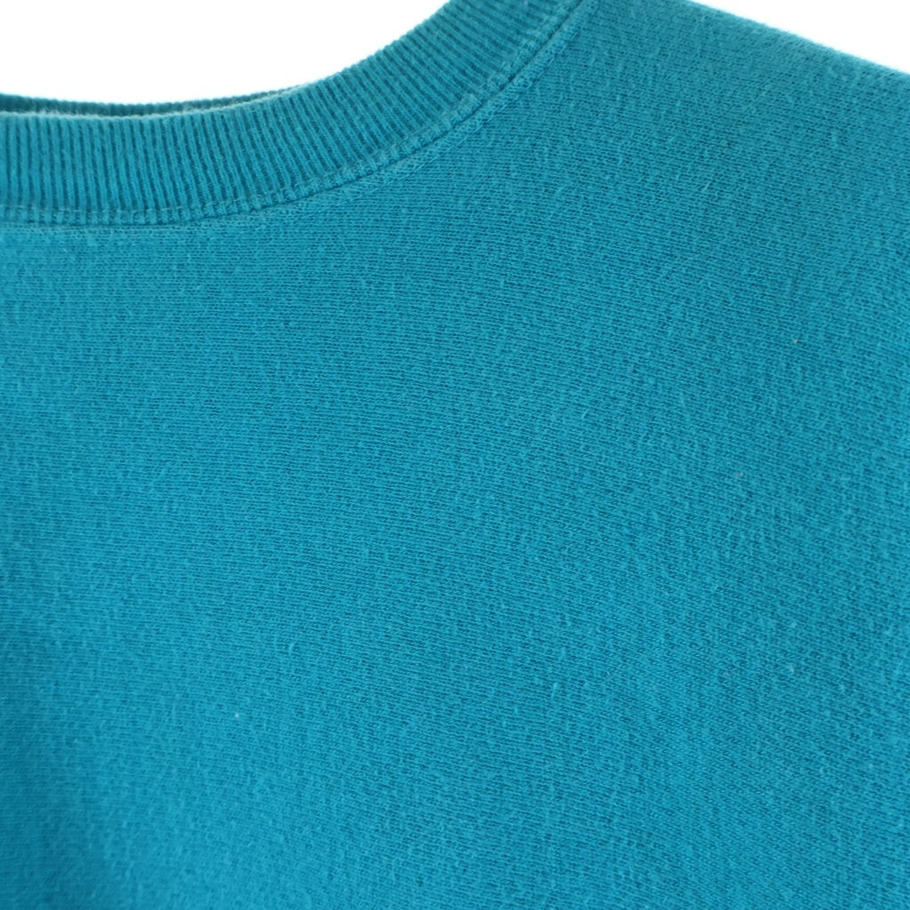 CHAMPION(チャンピオン) 90'S リバースウィーブ スウェットクルーネックシャツ トレーナー 目有り トリコ刺繍タグ USA製 ライトブルー