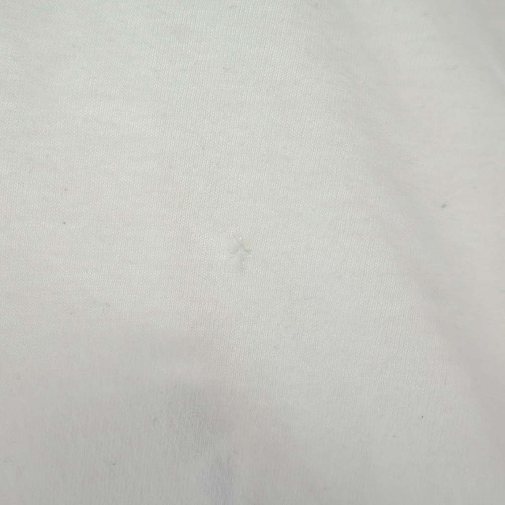 CHROME HEARTS(クロムハーツ) CHプラス/メイドインハリウッド プリントロゴ 長袖Tシャツ カットソー ホワイト