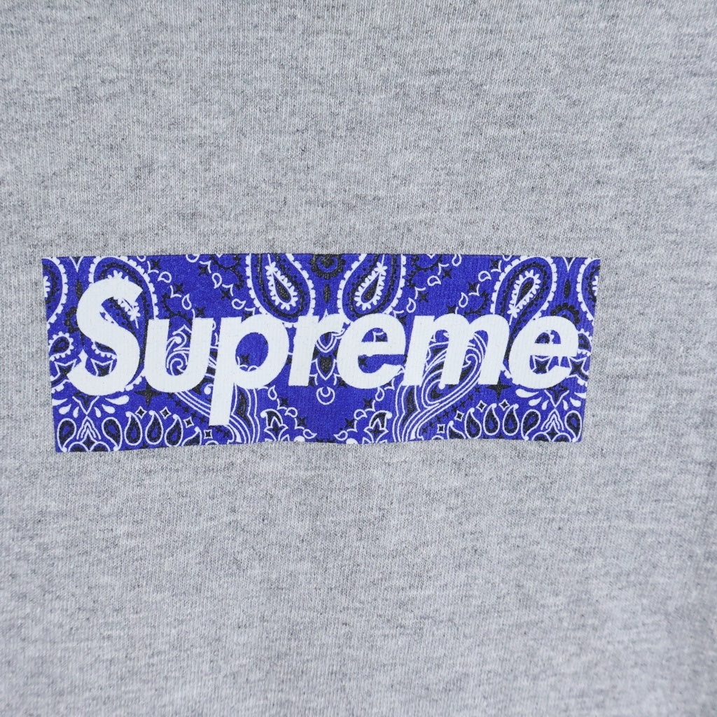 SUPREME(シュプリーム) 19AW Bandana Box Logo Tee バンダナボックスロゴ プリント 半袖Tシャツ カットソー グレー