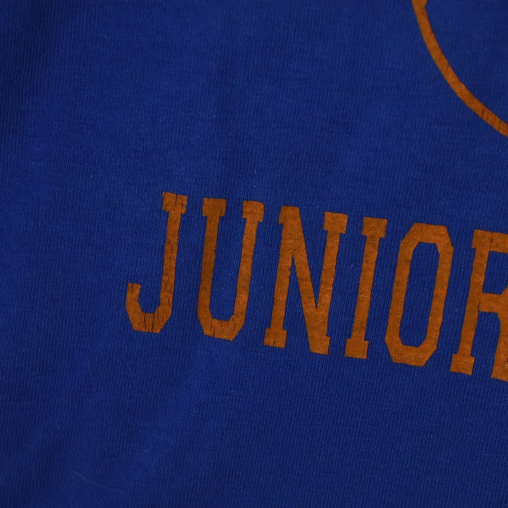 VINTAGE(ヴィンテージ) 90s BEASTIE BOYS JUNIOR VARSITY TOUR ビースティボーイズ ジュニアバーシティツアー カレッジロゴプリント リバーシブル クルーネック半袖Tシャツ カットソー