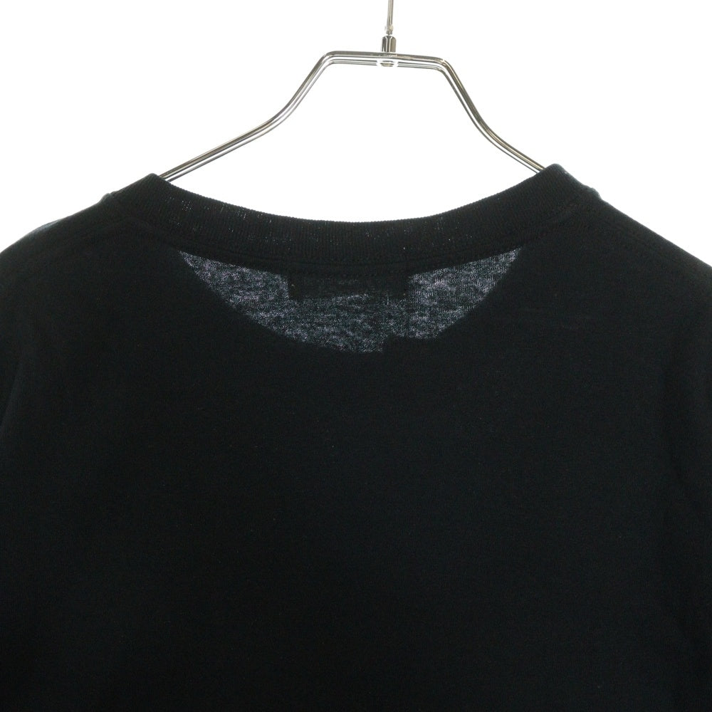 F-LAGSTUF-F(フラグスタフ) ×Larry Clark SS T-SHIRT ラリークラーク Punk Picassoフォト 半袖Tシャツ ブラック 19AW-FS×LC-06