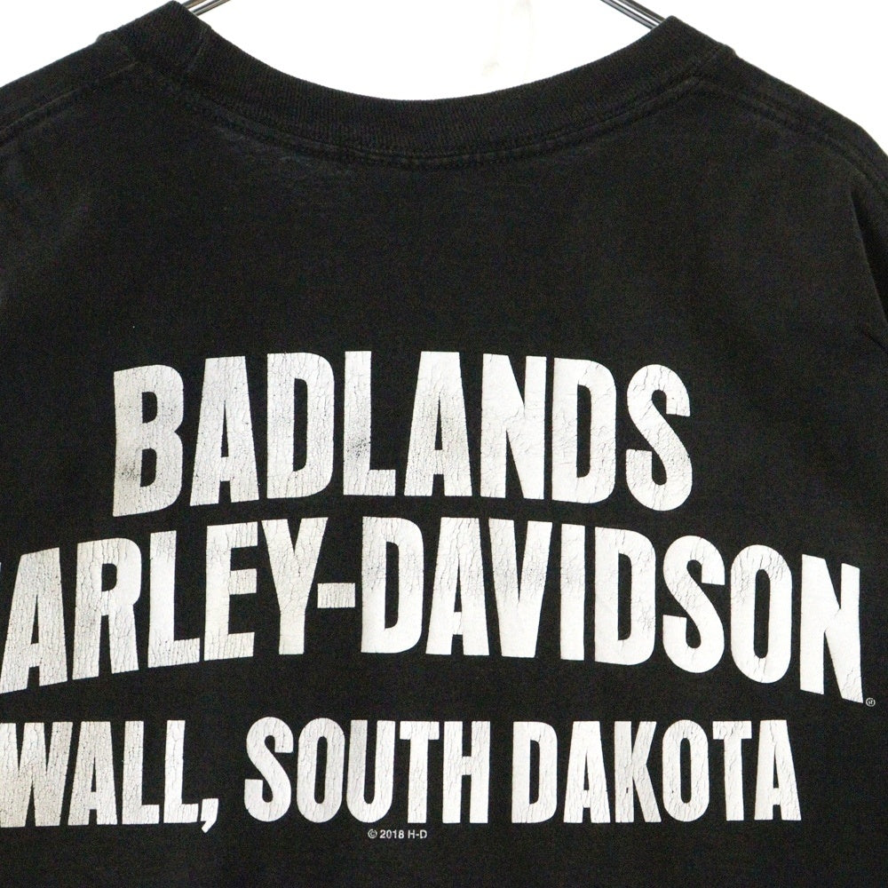 HARLEY DAVIDSON(ハーレーダビッドソン) スカルファイアー 両面プリントTシャツ 半袖クルーネックカットソー ブラック