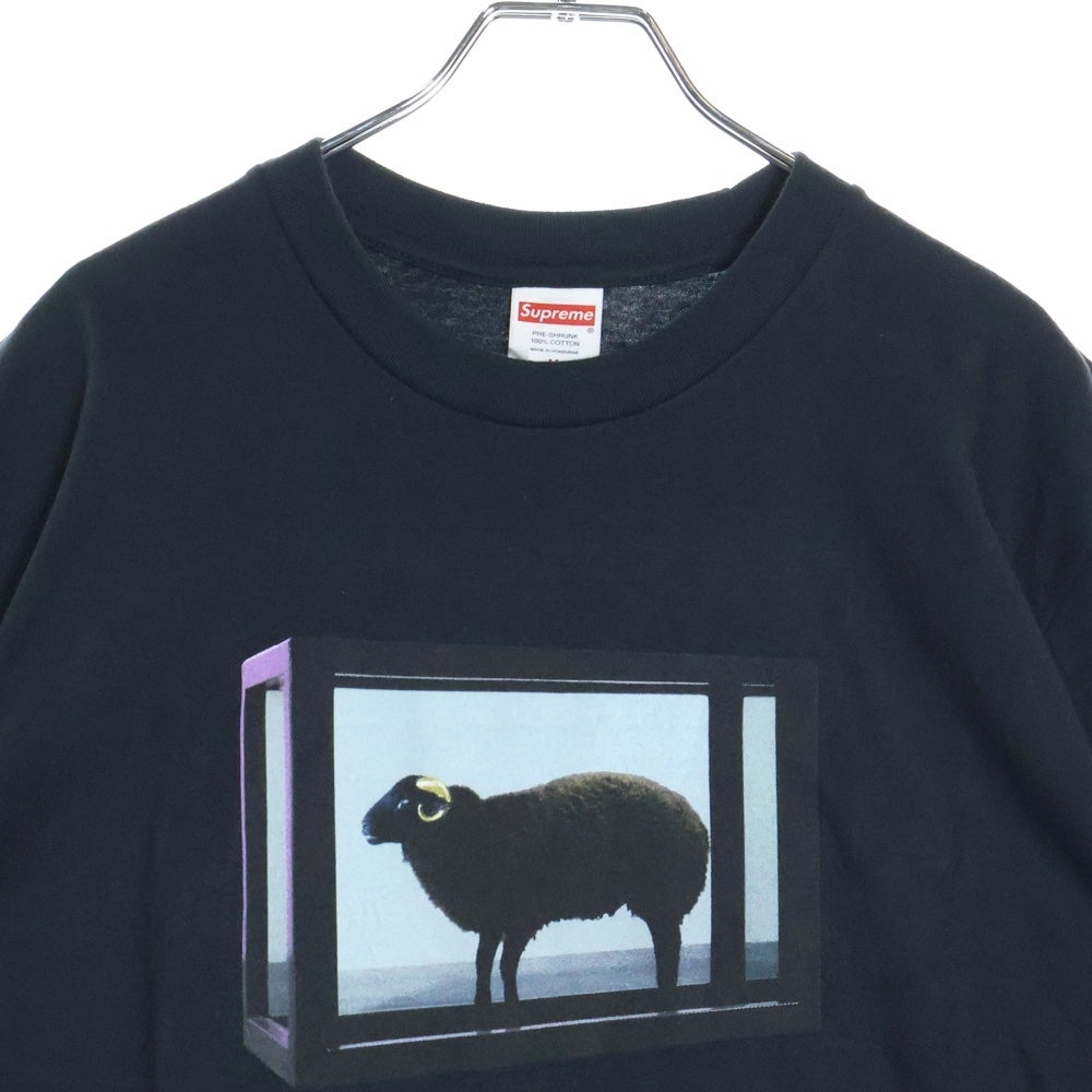 SUPREME(シュプリーム) 25SS Damien Hirst Tee ダミアンハースト プリント 半袖Tシャツ カットソー ブラック