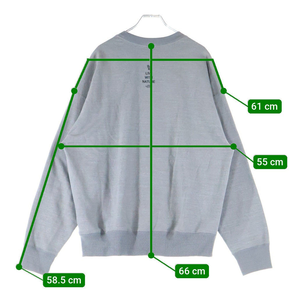 THE NORTH FACE(ザノースフェイス) ZOO PICKER CREW ズー ピッカー クルーネックスウェットトレーナー グレー NT12536