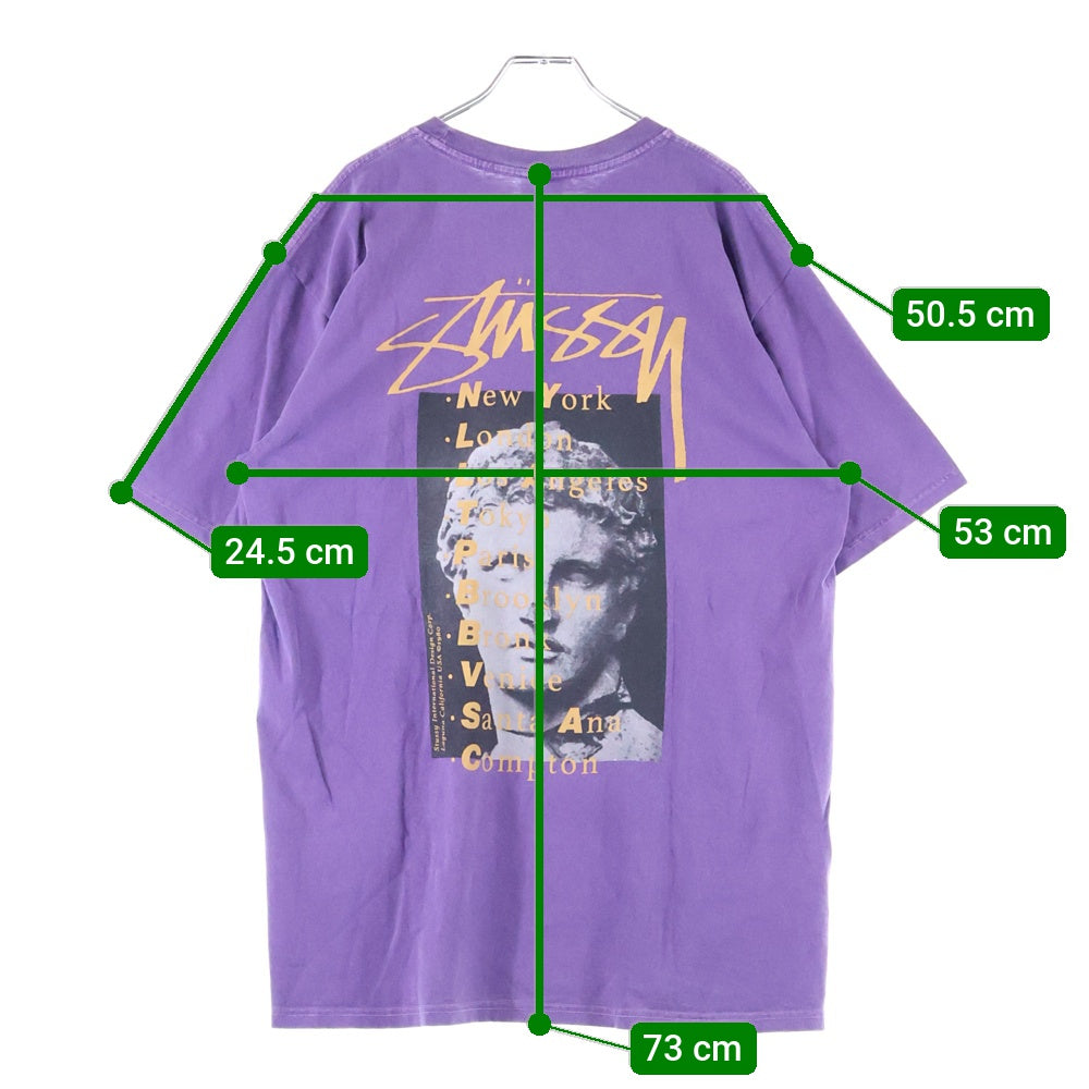 STUSSY(ステューシー) Statue Pig Dyed Tee クルーネック 両面プリント コットン 半袖 Tシャツ カットソー パープル