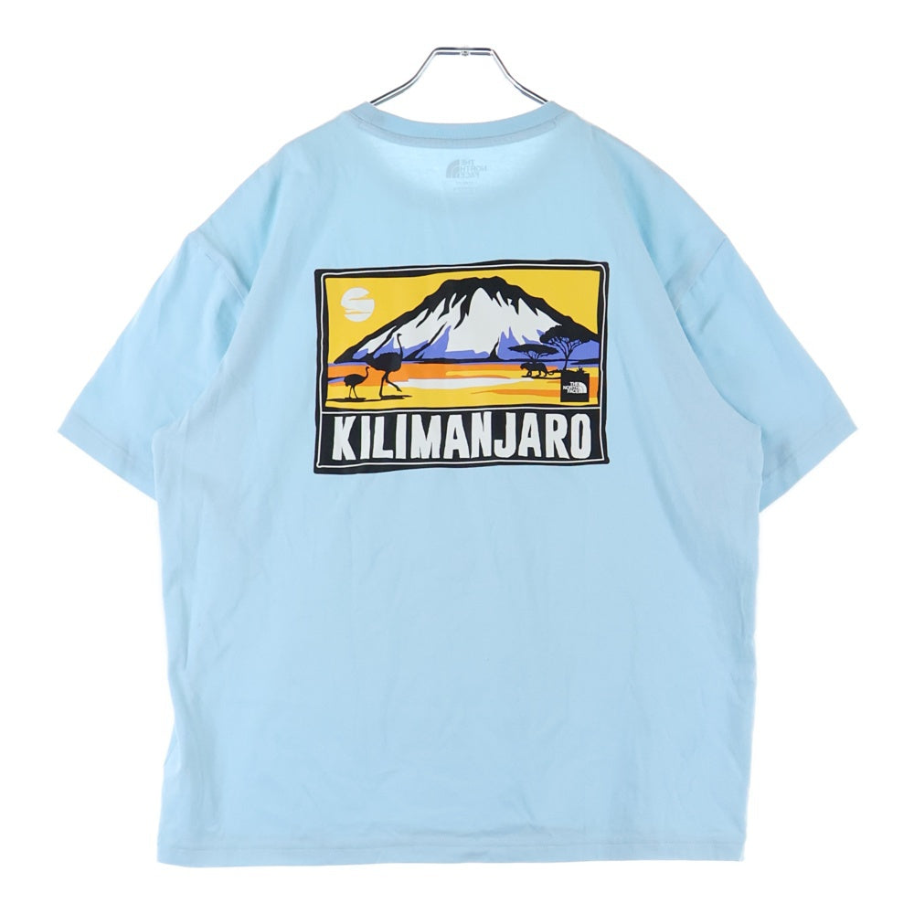 THE NORTH FACE(ザノースフェイス) バックグラフィックプリント ロゴ クルーネック 半袖Tシャツ カットソー ブルー NT7UM13L