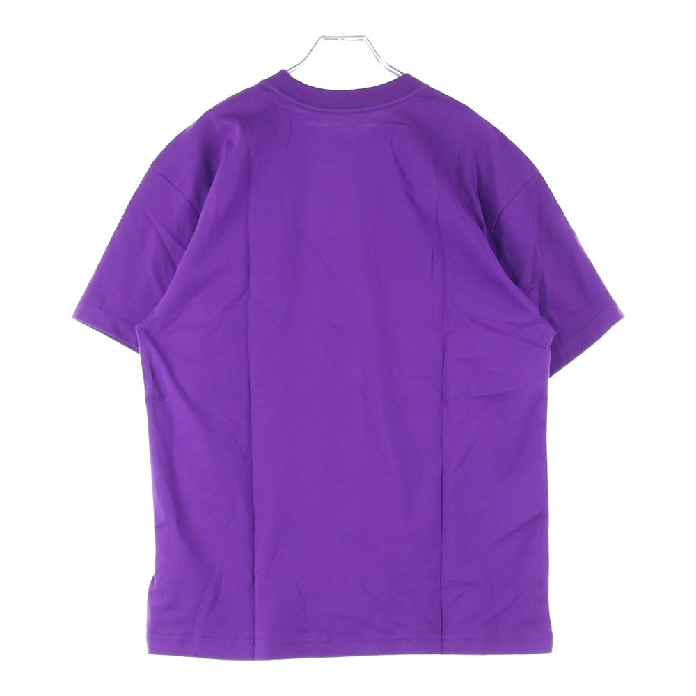 THE NORTH FACE(ザノースフェイス) ×KAWS TEE カウズ ロゴ エンブロイダリー クルーネック 半袖Tシャツ カットソー パープル 5200187090