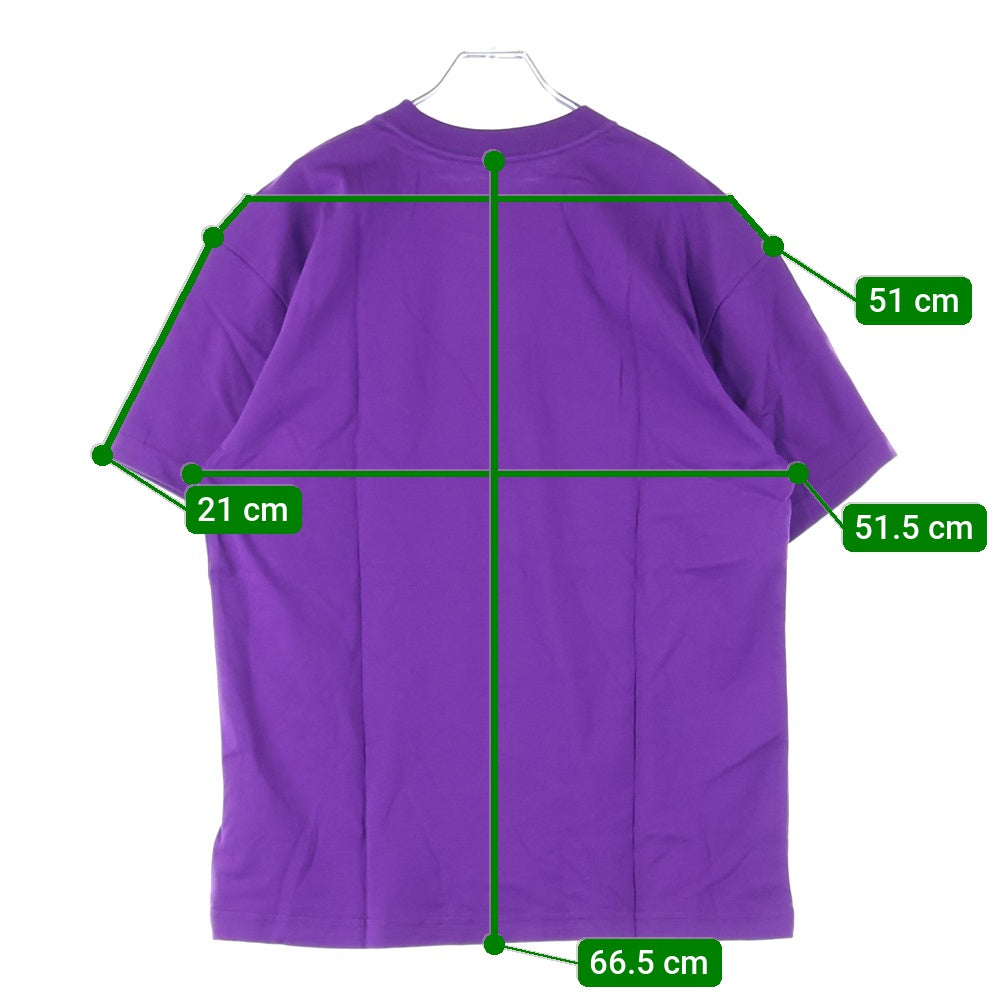 THE NORTH FACE(ザノースフェイス) ×KAWS TEE カウズ ロゴ エンブロイダリー クルーネック 半袖Tシャツ カットソー パープル 5200187090