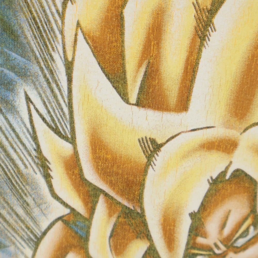 VINTAGE(ヴィンテージ) 00S VINTAGE DRAGON BALL Z ヴィンテージ ドラゴンボールゼット 孫悟空 プリント 半袖Tシャツ カットソー イエロー