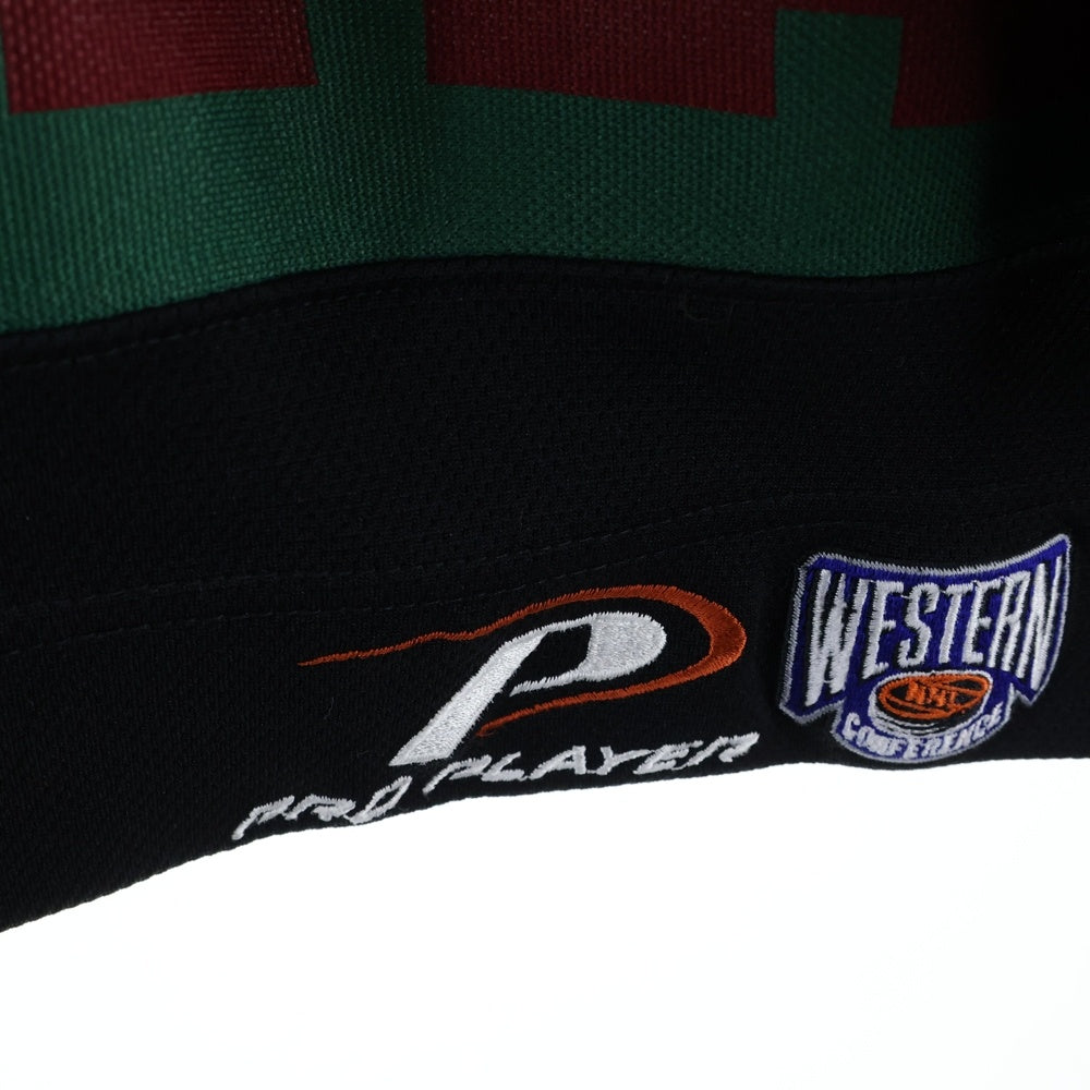 NO BRAND(ノーブランド) NHL フェニックス コヨーテズ ホッケーゲームシャツ 長袖カットソー ホワイト