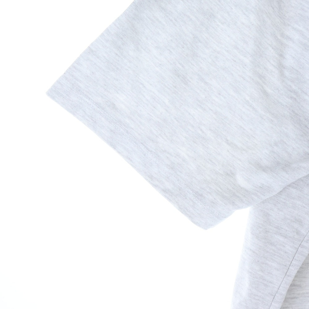 AVIREX(アヴィレックス) AIM HIGH T-SHIRT アイム ハイ クルーネック半袖Tシャツ カットソー グレー 6113297