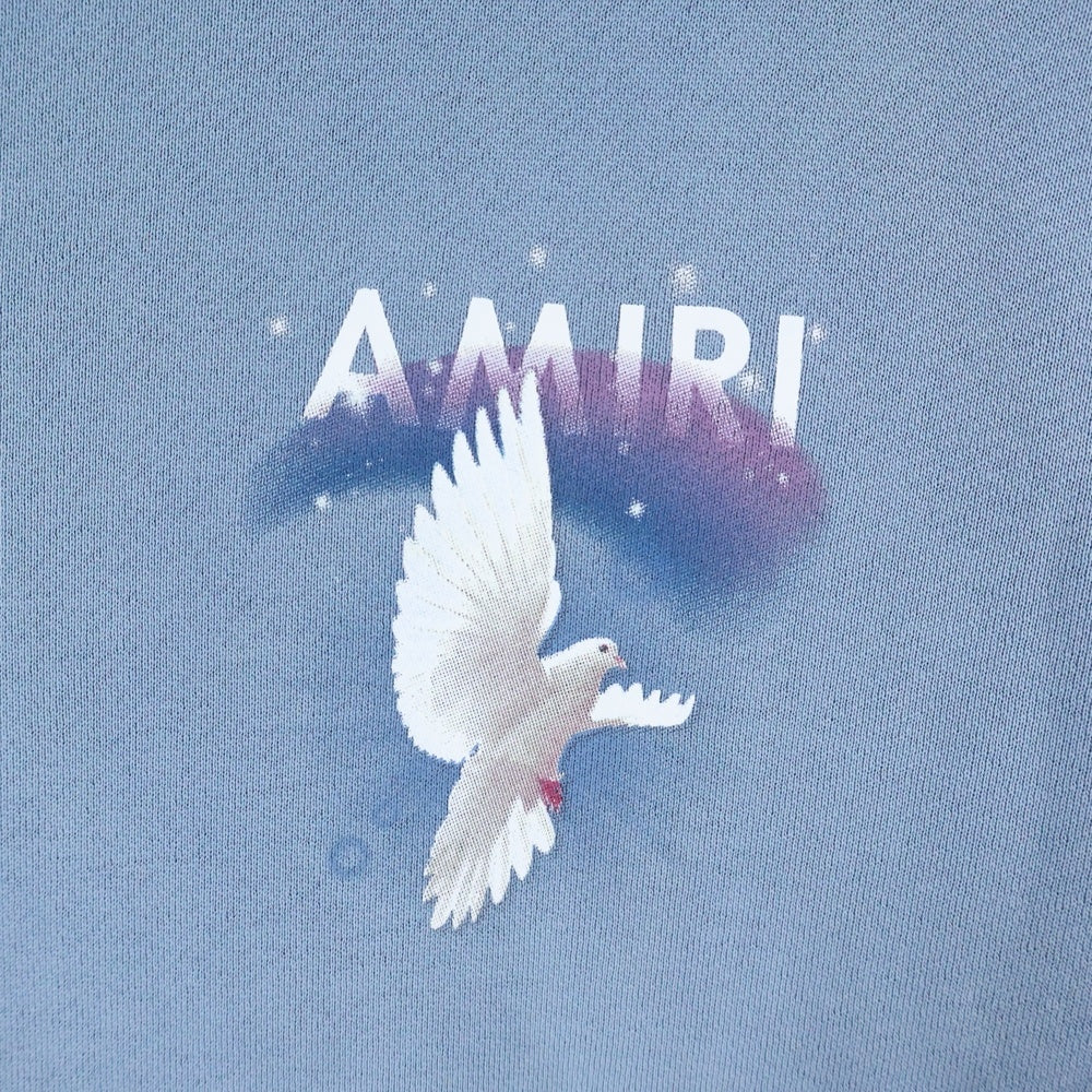 AMIRI(アミリ) BEYOND OUR WILDEST DREAMS DOVE HOODIE ビヨンドアワーワイルデストドリームズ 両面プリント スウェット プルオーバーパーカー ブルー