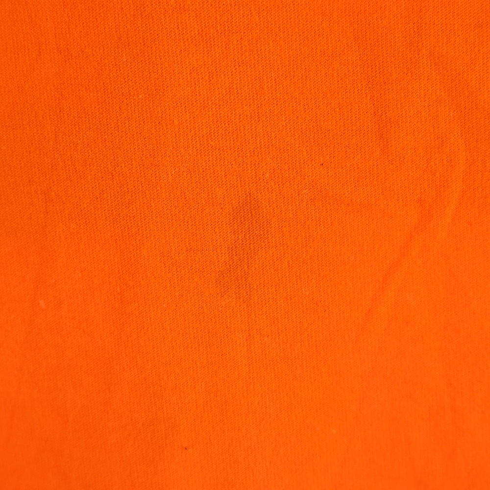 cvtvlist(カタリスト) ×PRO CLUB CTLS プロクラブ 両面プリント クルーネック 半袖Tシャツ カットソー オレンジ