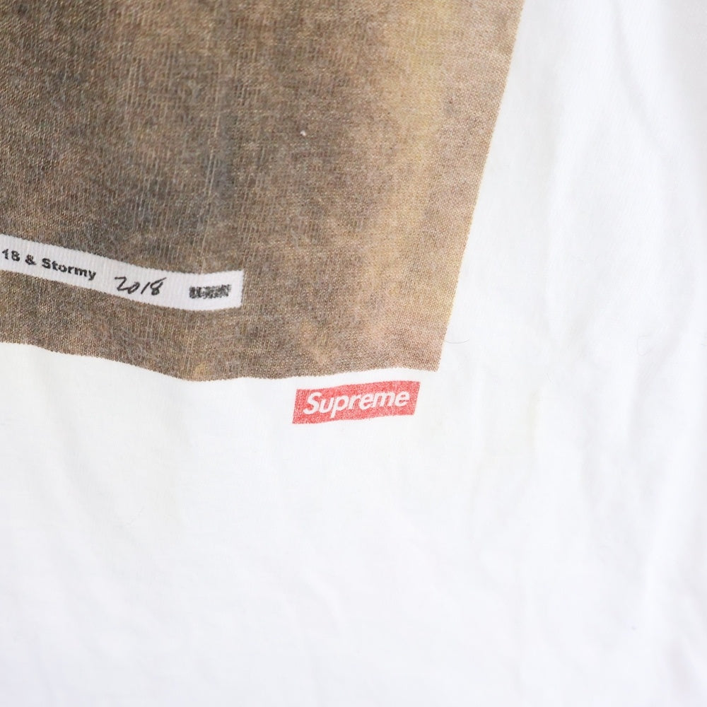SUPREME(シュプリーム) 18AW 18 & Stormy Tee ストーミー アートワーク