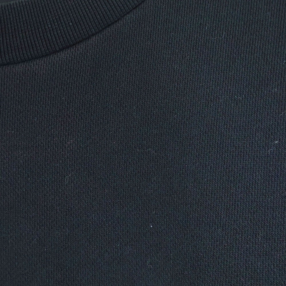 RAF SIMONS(ラフシモンズ) 16SS xDavid Sims Sweatshirt-Isolated Heroes デイビット シムズ アイソレーテッド ヒーローズ フォトプリント クルーネック スウェット トレーナー 161-179