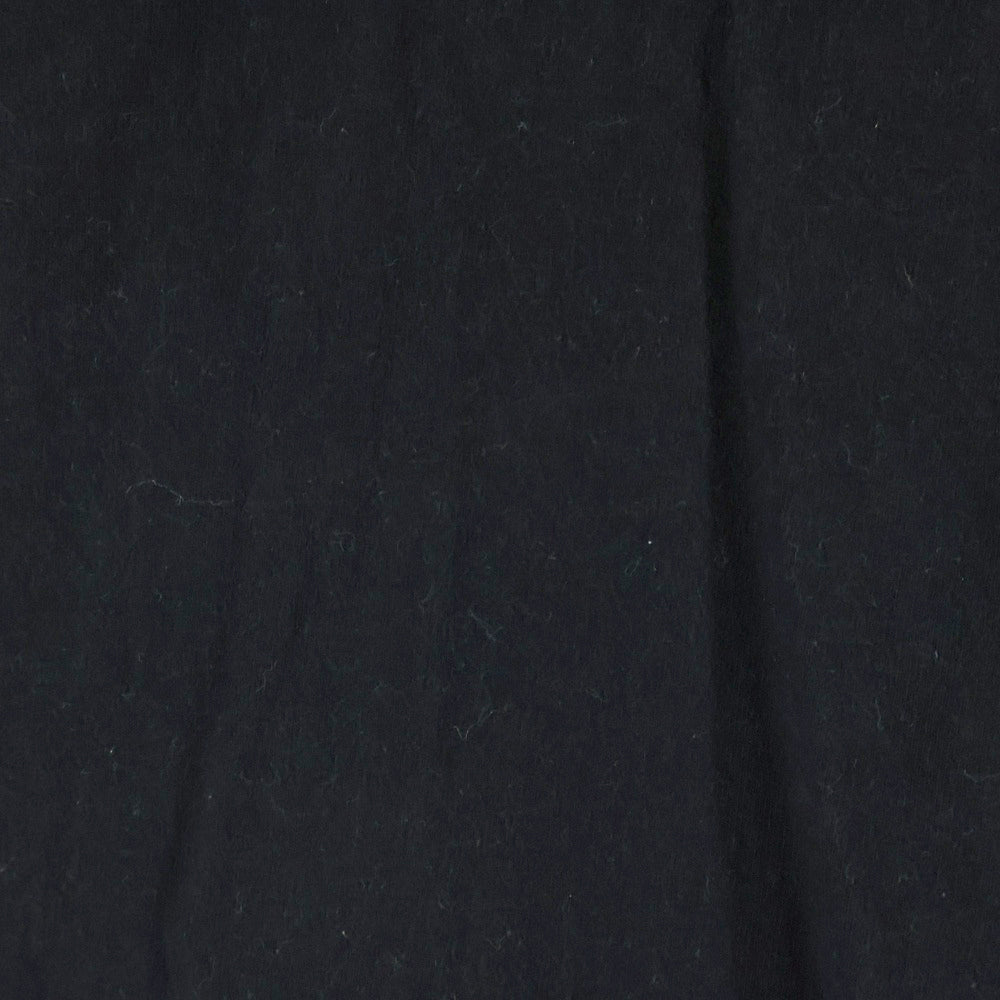 STUSSY(ステューシー) クラウンロゴデザイン クルーネック カットソー 半袖Tシャツ ブラック