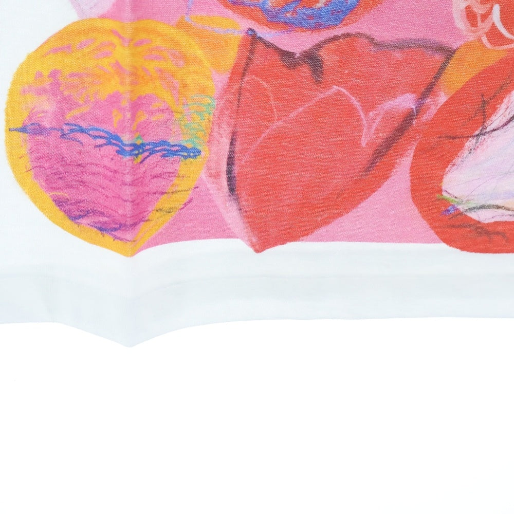 COMME DES GARCONS GIRL(コムデギャルソンガール) 25AW AD2025 吉野マオ 花畑 クルーネック半袖Tシャツ カットソー レディース ホワイト/ピンク NP-T014