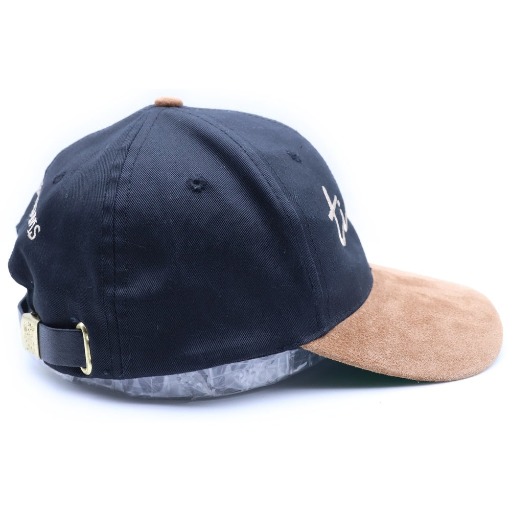 VINTAGE(ヴィンテージ) 90S VINTAGE TINA TURNER WILDEST DREAMS 2-TONE SUEDE CAP ヴィンテージ ティナターナー ワイルデストドリームス 2トーン スウェードキャップ 帽子