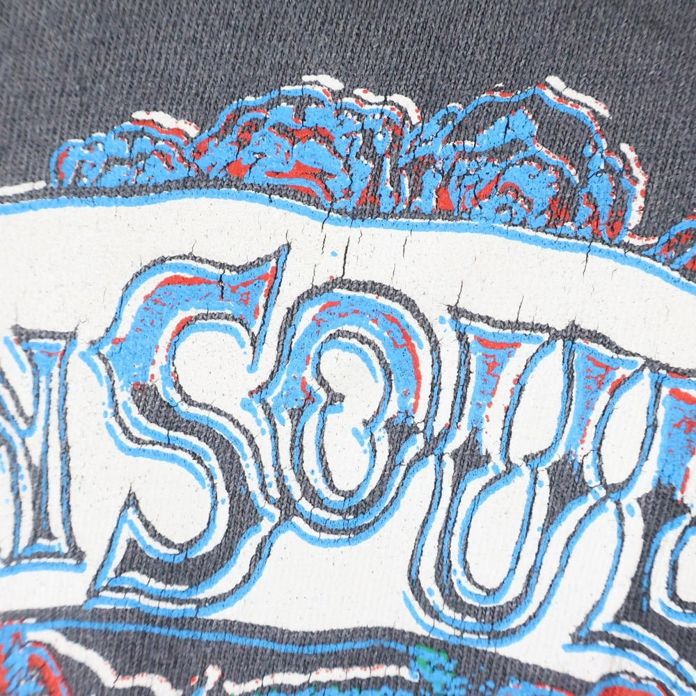 SAINT MICHAEL(セントマイケル) 25AW BODYN SOUL SS TEE ヴィンテージ加工 フロントプリントTシャツ 半袖クルーネックカットソー グレー SM-HR1-0000-014
