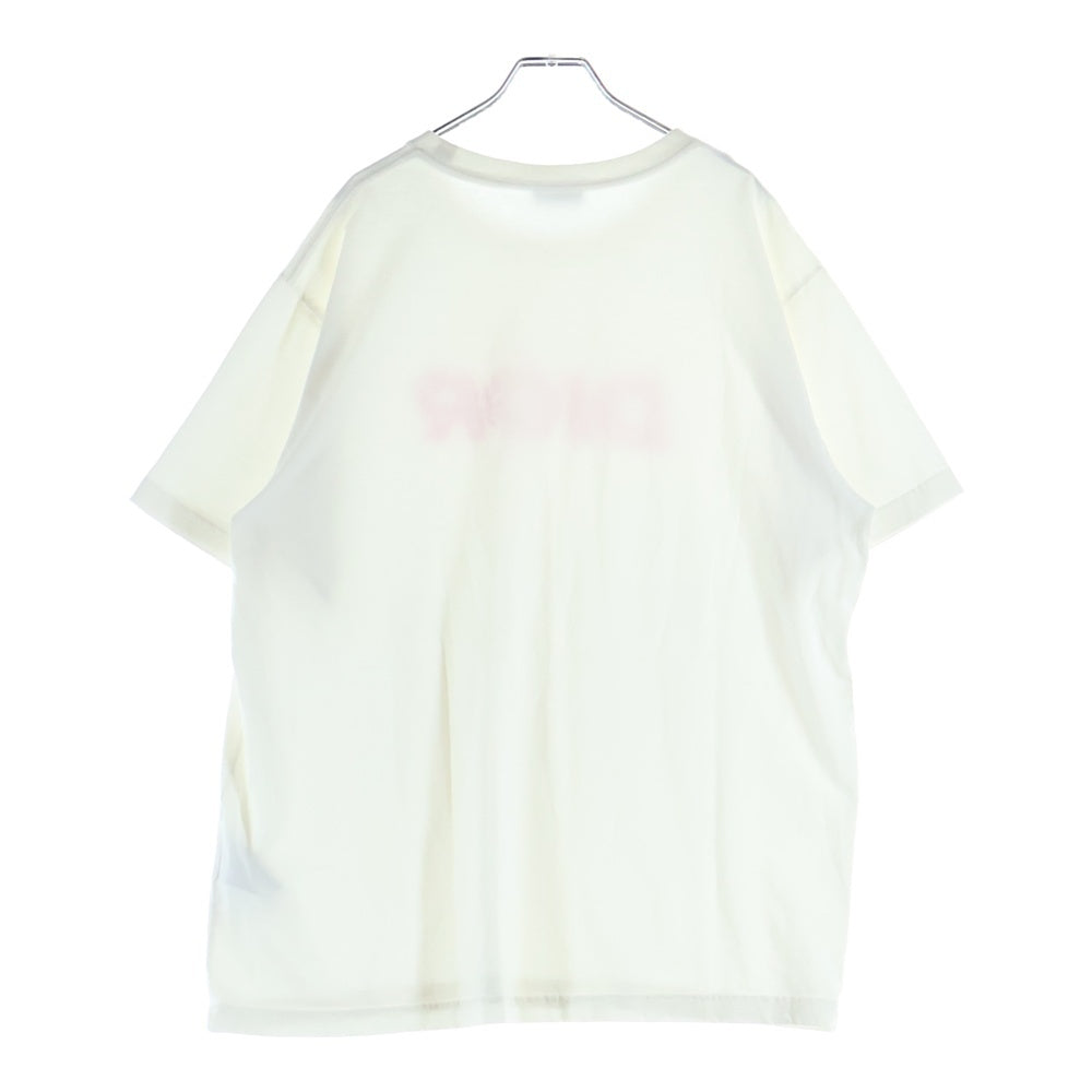 DIOR(ディオール) ITALIC CORAL LOGO T-SHIRT イタリックコーラル ロゴ クルーネック カットソー 半袖Tシャツ ホワイト 483J696C0847