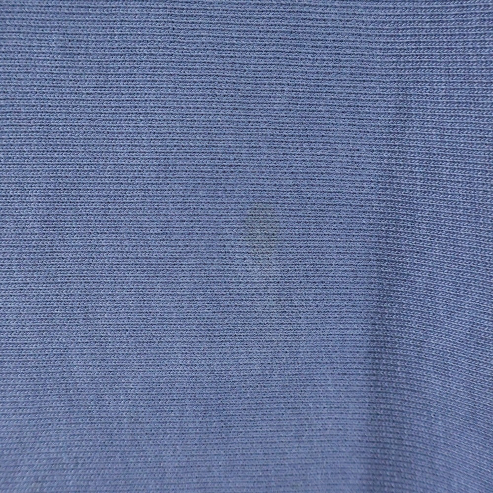 STUSSY(ステューシー) 24AW BUANA CREW PIGMENT DYED ブアナ クルー ピグメント ダイ バックプリント クルーネック スウェット プルオーバー ブルー