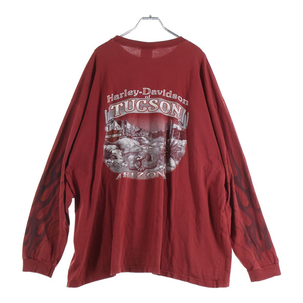 HARLEY DAVIDSON(ハーレーダビッドソン) 00S VINTAGE FIRE PATTERN 2009 L/S TEE ヴィンテージ アームファイヤープリント フロントロゴTシャツ 長袖クルーネックカットソー レッド