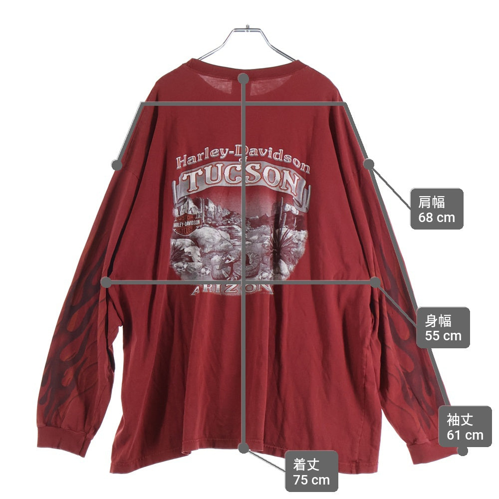 HARLEY DAVIDSON(ハーレーダビッドソン) 00S VINTAGE FIRE PATTERN 2009 L/S TEE ヴィンテージ アームファイヤープリント フロントロゴTシャツ 長袖クルーネックカットソー レッド