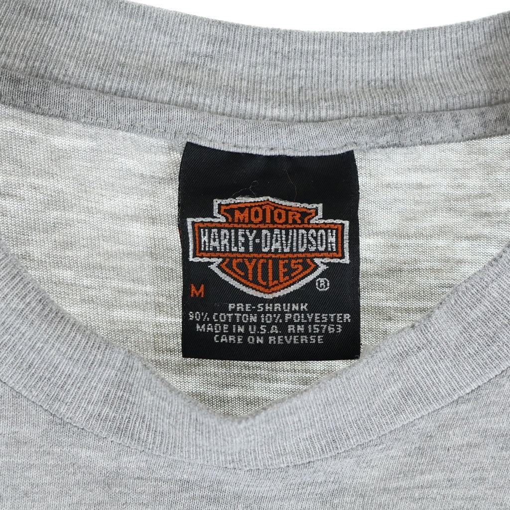 HARLEY DAVIDSON(ハーレーダビッドソン) 90S VINTAGE BLUE FLAME ブルーフレイム 両面プリント クルーネック長袖Tシャツカットソー グレー