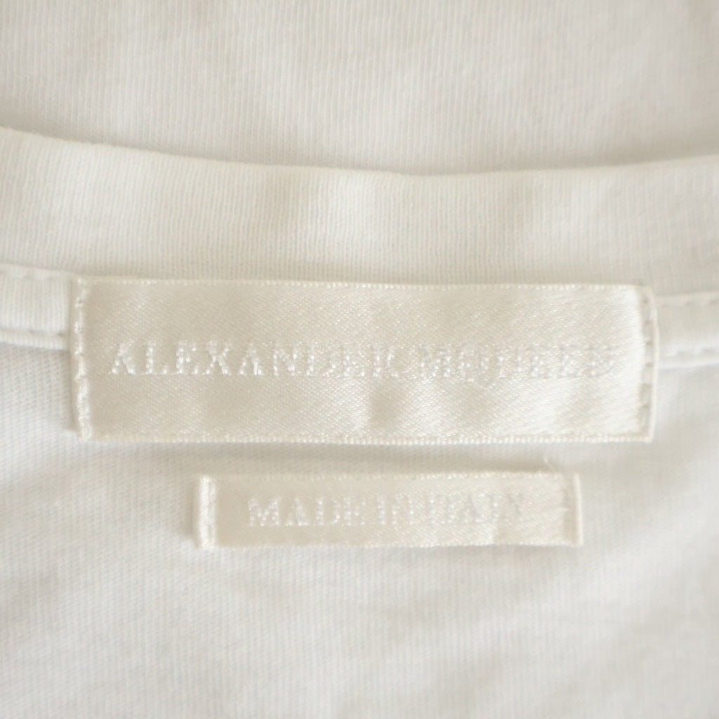 Alexander McQueen(アレキサンダーマックイーン) イタリア製 バードプリント Vネック 半袖Tシャツ カットソー ホワイト 387902 QGZ51
