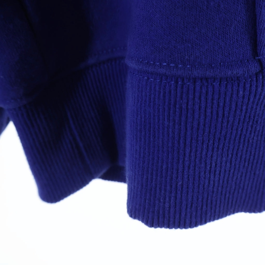 THE NORTH FACE(ザノースフェイス) ×KAWS POPOVER HOODIE カウズ ポップオーバー ロゴエンブロイダリー プルオーバーフーデッドパーカー ブルー NF0A7WLIVA61