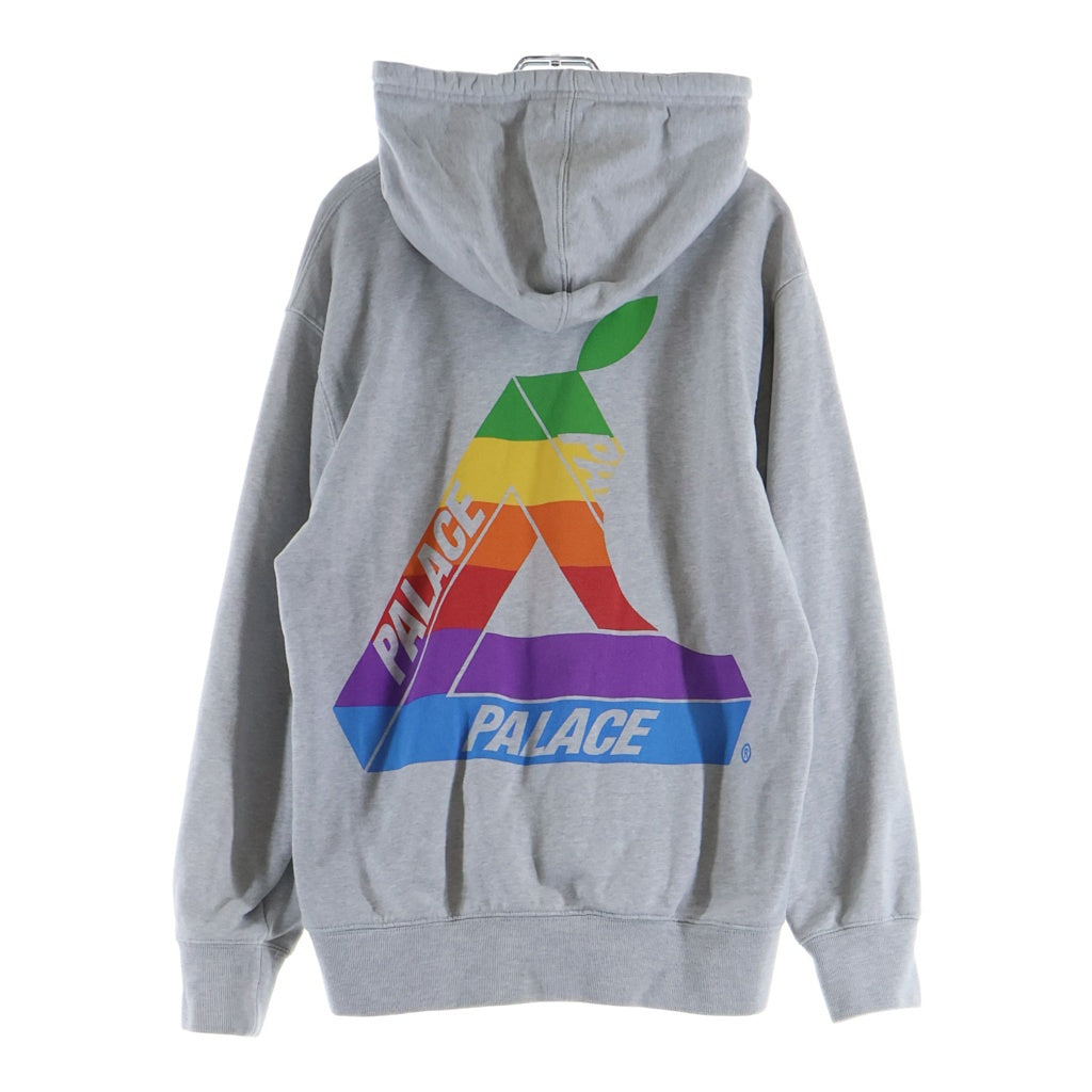 Palace Skateboards(パレススケートボーズ) 19SS JOBSWORTH HOOD レインボーTRY-FERGプリント プルオーバーフーデッドパーカー グレー P16HD001