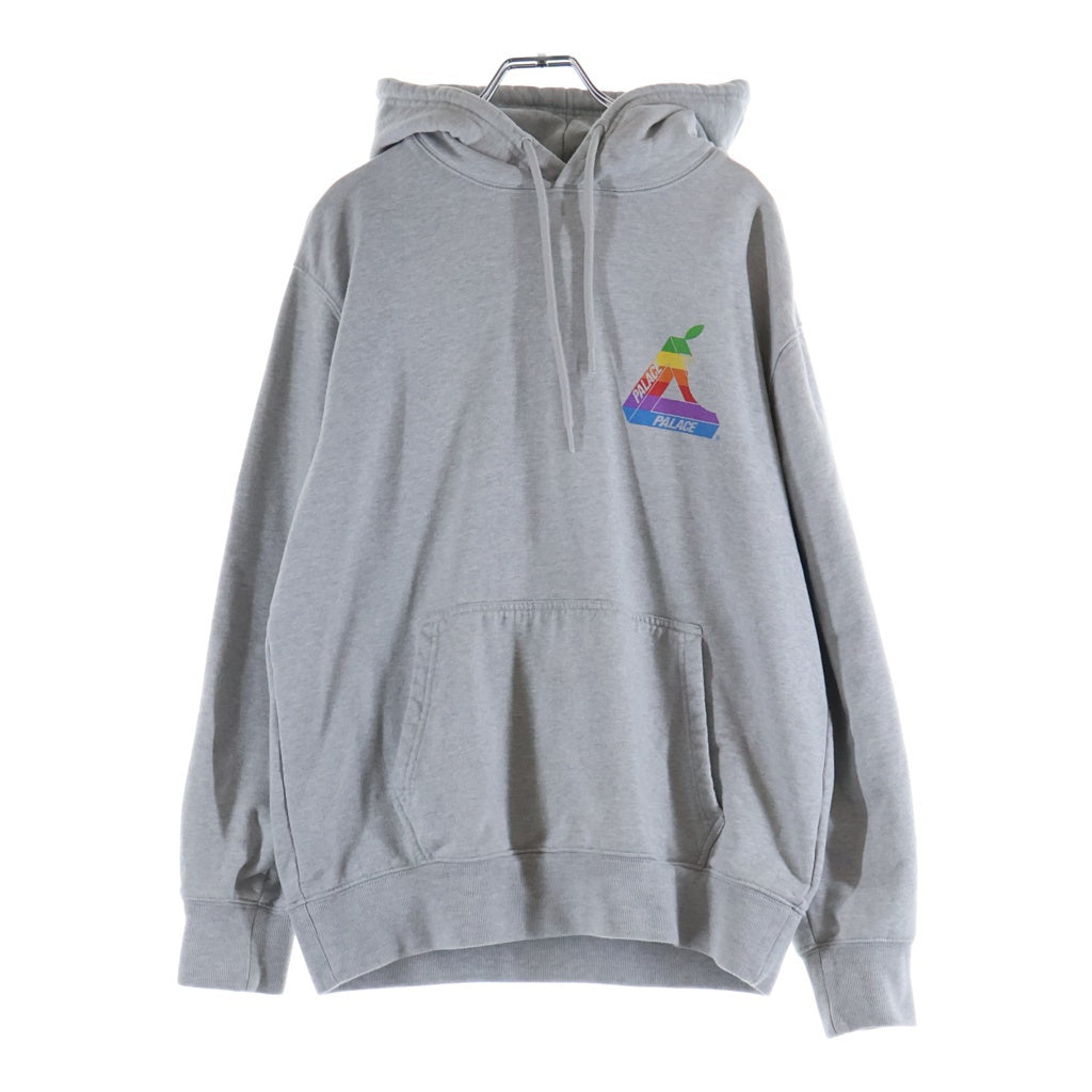 Palace Skateboards(パレススケートボーズ) 19SS JOBSWORTH HOOD レインボーTRY-FERGプリント プルオーバーフーデッドパーカー グレー P16HD001