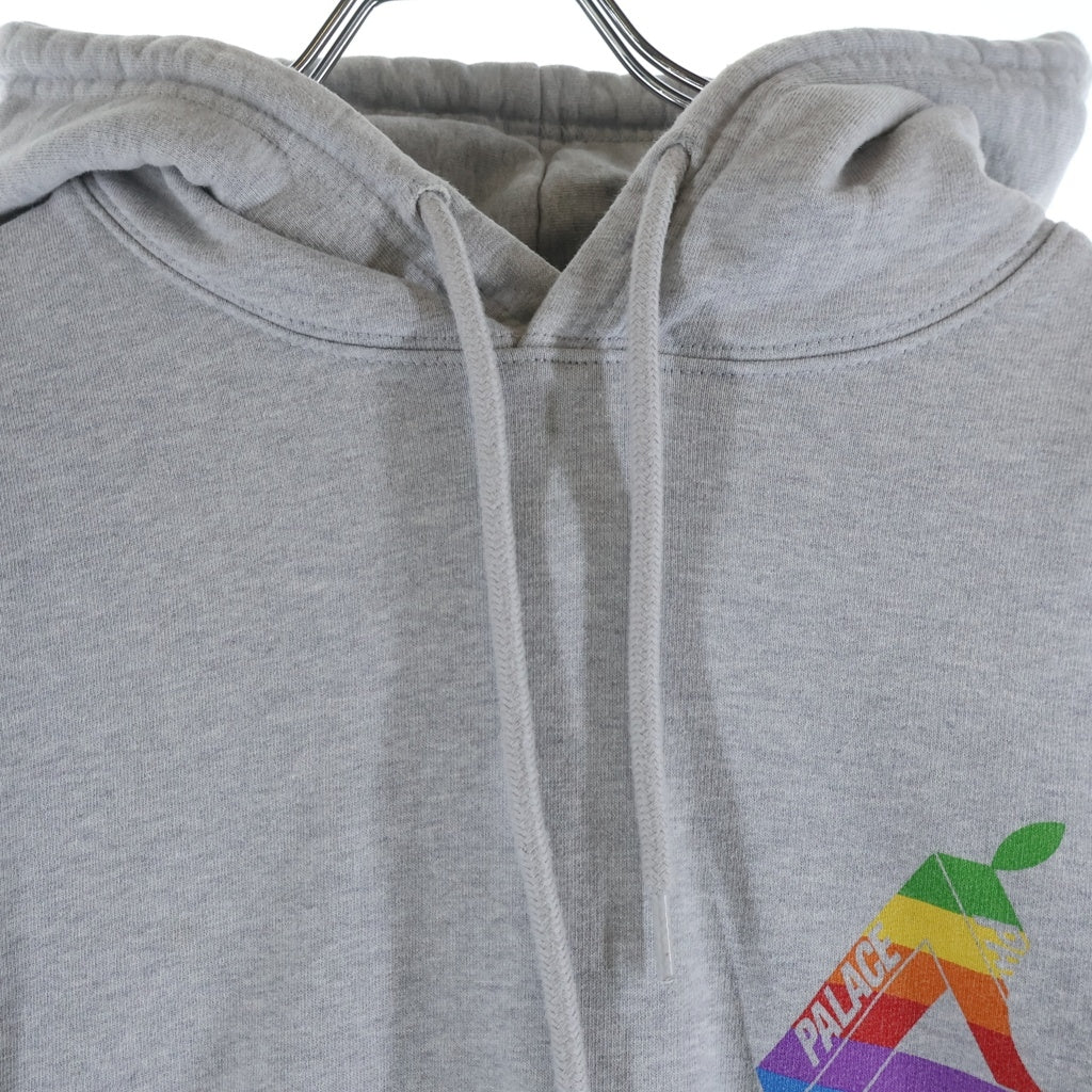 Palace Skateboards(パレススケートボーズ) 19SS JOBSWORTH HOOD レインボーTRY-FERGプリント プルオーバーフーデッドパーカー グレー P16HD001