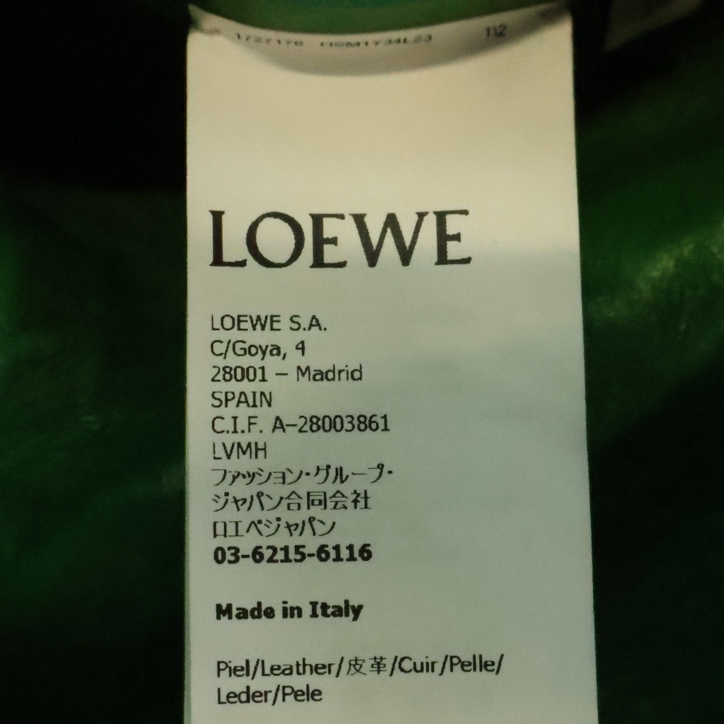 LOEWE(ロエベ) DOUBLE BREASTED JACKET パイソンレザー ダブルブレストコート ジャケット グリーン HSM1Y34L23