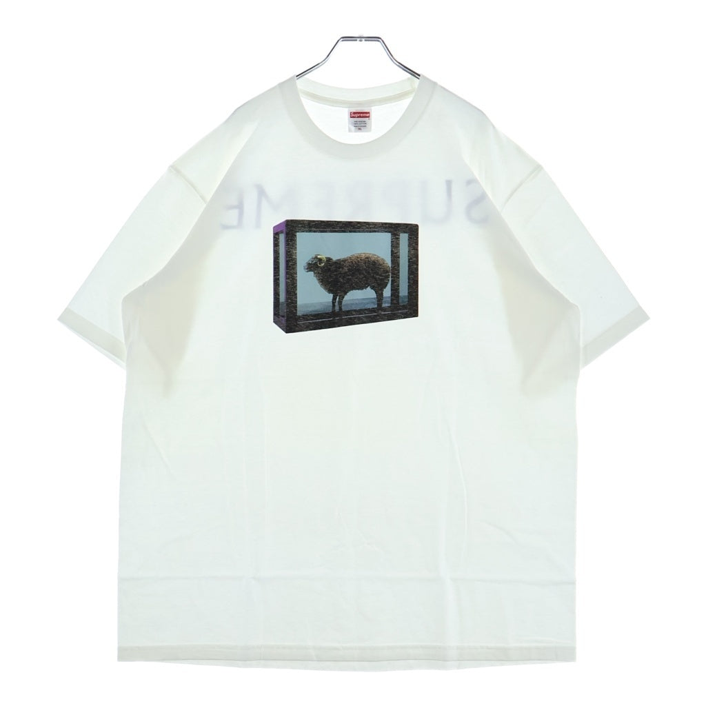 SUPREME(シュプリーム) 25SS Damien Hirst Tee ダミアンハースト プリント クルーネック半袖Tシャツ カットソー ホワイト