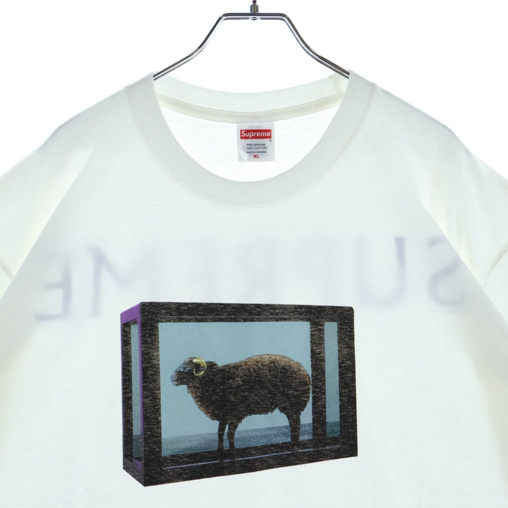SUPREME(シュプリーム) 25SS Damien Hirst Tee ダミアンハースト プリント クルーネック半袖Tシャツ カットソー ホワイト