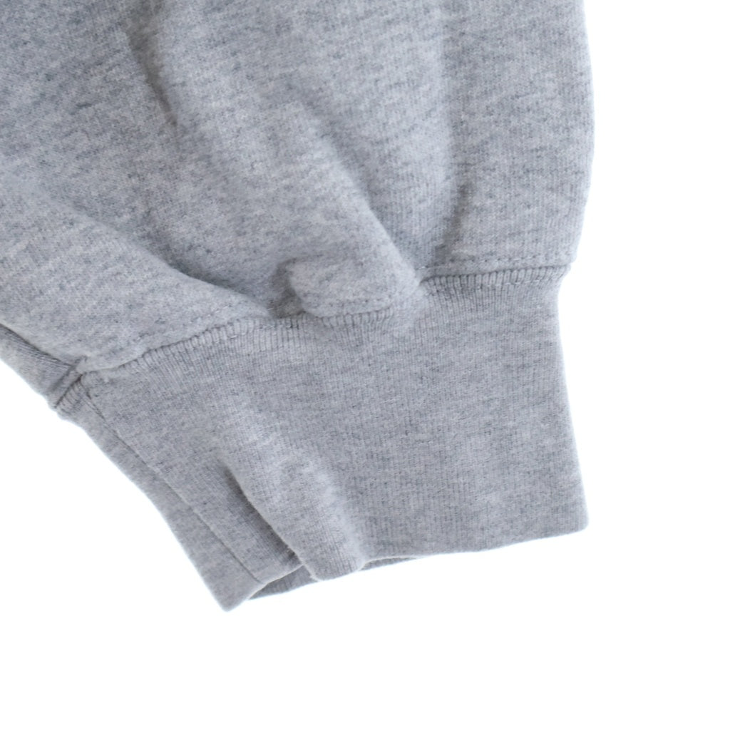 SUPREME(シュプリーム) 24AW Satin Applique Hooded Sweatshirt サテン アプリケ ロゴ エンブロイダリー プルオーバー スウェットシャツ パーカー フーディー グレー