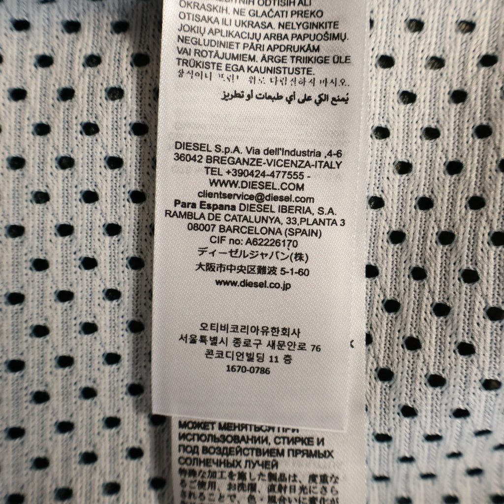 DIESEL(ディーゼル) T-MESH-BOXT-LS メッシュ ボクシー グラフィックプリント レイヤード クルーネック 長袖Tシャツ カットソー ブルー A19943